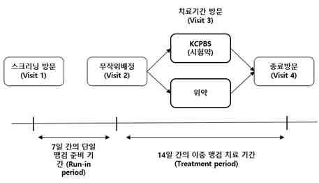 임상시험 일정 예시