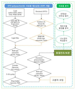 도세탁셀 및 다당류 함유 기능성 리포좀의 제조공정 요약