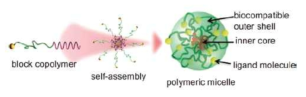 공중합체의 자가조립을 통한 미셀 형성 [Cancer Drug Delivery Systems Based on the Tumor Microenvironment (2019) 발췌]