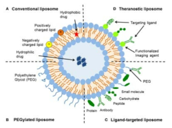 다양한 종류로 개질화한 리포좀의 종류, 출처: L. Sercombe et al., Frontiers in Pharmacology, 2015, 6, 286-299