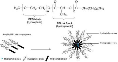 Structure of Methoxypolyethyleneglycol–poly(D,L-lactide) as a nanomicelle