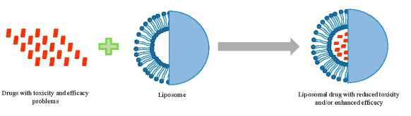 약물의 리포좀 봉입에 의해 얻어지는 장점을 보여주는 모식도
