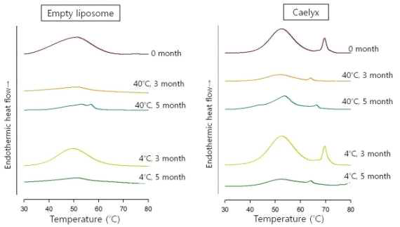 가혹 조건에서의 빈리포좀과 약물 봉입 리포좀의 열역학적 특성 변화