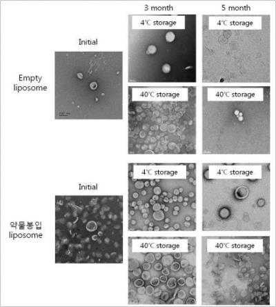 가혹조건에서의 공 리포좀과 doxorubicin 봉입 리포좀의 대표 TEM 이미지. 스케일바는 100 nm임