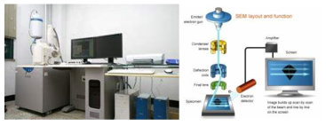 SEM 기기 및 원리
