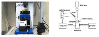 AFM 기기 및 원리