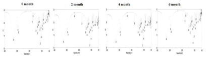 FTIR spectra of the NBP 26203 in the accelerated condition of 40℃