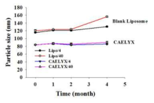 Change of Particle size of the liposomal doxorubicin(CaelyxⓇ) and blank liposome in the accelerated condition of 4℃ and 40℃