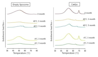 약물 봉입 리포좀의 열역학적 특성의 경시적 변화