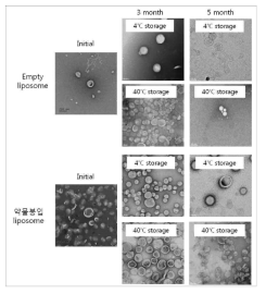 보관시 리포좀의 대표 TEM 이미지. 스케일바는 100 nm임