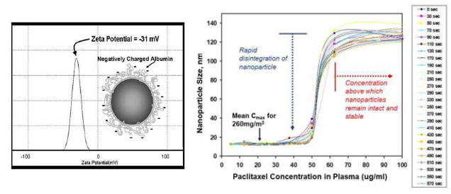 Diagram to show zeta-potential of Abraxane(left) and NP release of nab-paclitaxel in 5% albumin measured by light scattering(right). (아브락시스 바이오사이언스 제공)