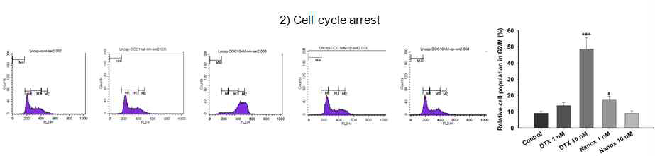 LNCaP 세포에서 나녹셀엠 및 도세탁셀 처치시 세포주기 분석 결과