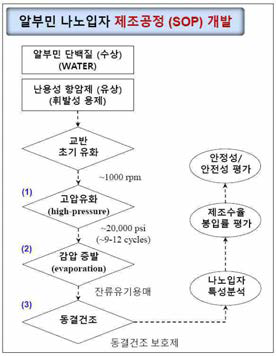 항암제 봉입 알부민 나노입자 제조공정 모식도