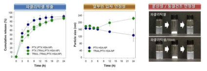 파클리탁셀 및 항암단백질 봉입 알부민 나노입자의 용출성 및 안정성 평가