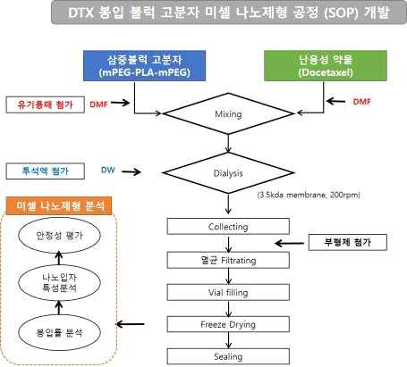 약물 봉입 미셀나노제형의 SOP