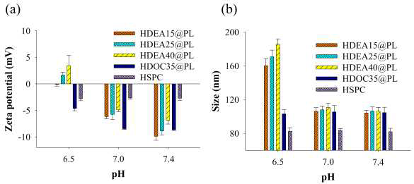 (a) pH 조건에 따른 리포좀의 제타 전위 변화(평균 ± 표준편차, n=3)와 (b) pH 조건에 따른 입자 크기 분포변화
