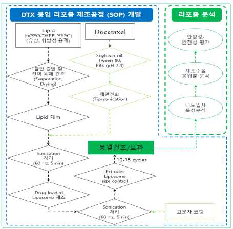 리포좀 제조 공정