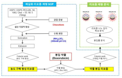 독소루비신 봉입 페길화 리포좀 제형 제조 공정 요약