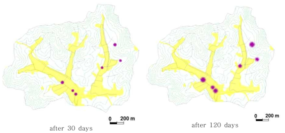 대수층 수리전도도에 따른 수위 강하 예측(K = 0.00683 m/day (최소), S= 7.4E-3