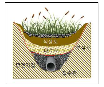 횡단면도