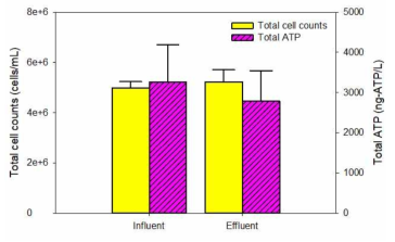 Lab-scale 유입수 및 유출수 미생물 특성(total cell counts, total ATP) 분석 결과