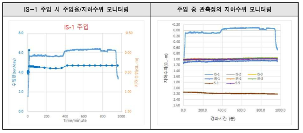 IS-1 주입시험 결과