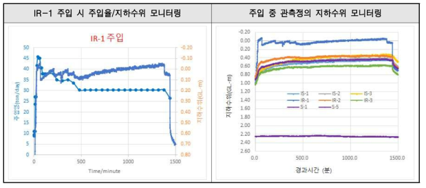 IR-1 주입시험 결과