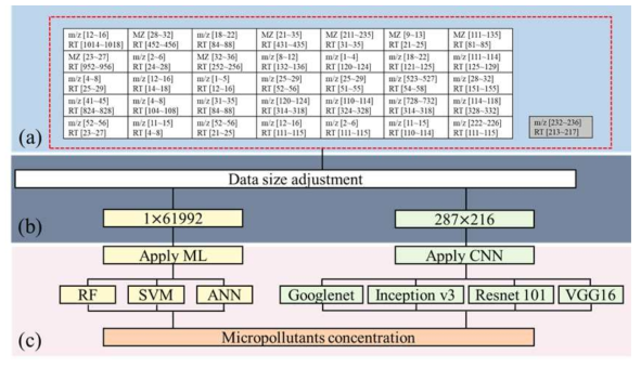 ML과 DL을 적용한 미량오염물질 측정 개략도. (a) 타겟 미량오염물질의 peak 정보를 포함한 대체 후보지 영역을 입력 자료로 사용함. (b) 적용한 data size를 표시함. (c) ML과 DL기법을 적용함