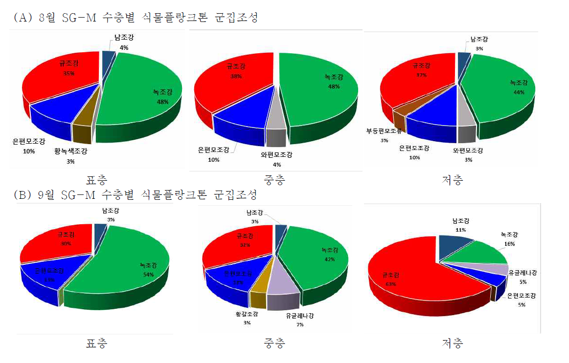 8-9월 신갈지 호 내 정점(SG-M) 수층별 식물플랑크톤 군집조성 비교