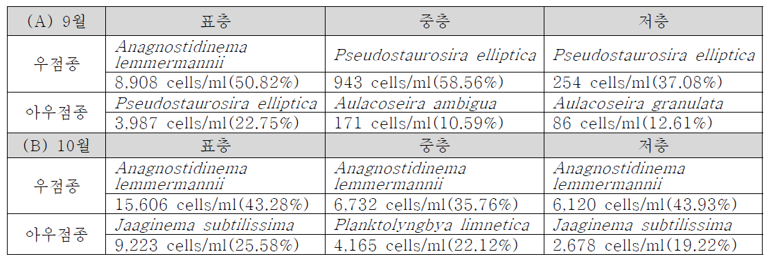 9-10월 주암호 중앙부(JA-M) 수층별 식물플랑크톤 우점종 및 아우점종 비교