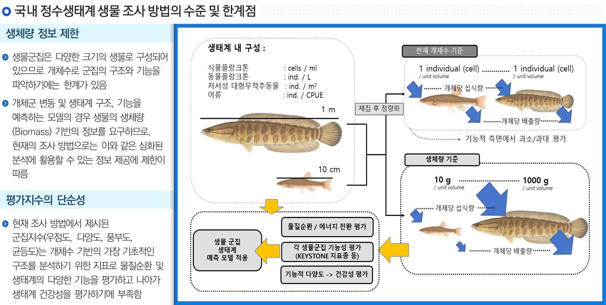 국내 정수생태계 생물 조사 방법의 수준 및 한계점