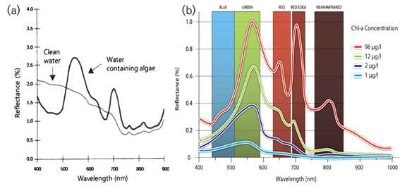 조류와 깨끗한 물의 반사도 비교(a), 수체 내 다양한 농도의 클로로필a 반사도 비교(b) (Lee et al., 2015)