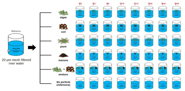 기원 시료와 물 시료의 혼합을 통한 입자성 유기물의 생분해 실험 모식도