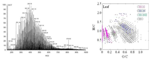 초고분해능 질량분석기 FT ICR-MS 스펙트럼 결과 예시 (Chen 외, 2016)