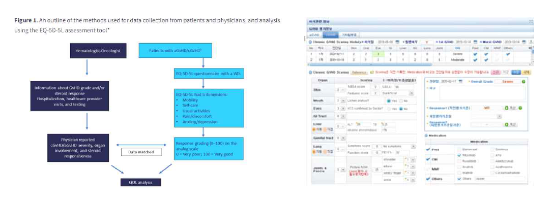 physician’s GVHD assessment tool 예시