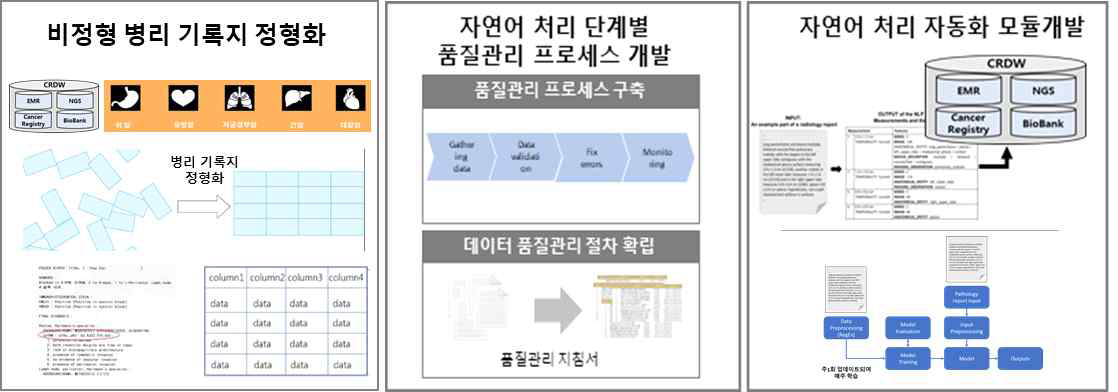 2차년도 연구개발 내용