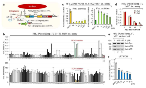 신규 dual counter readout system을 이용한 HCV 증식 저해제 스크리닝 구축 및 스크리닝