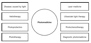 광의학의 다양한 분야 (Huang et al, 2009)