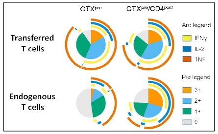 Polyfunctionality of T cells derived from lymphoid tissues