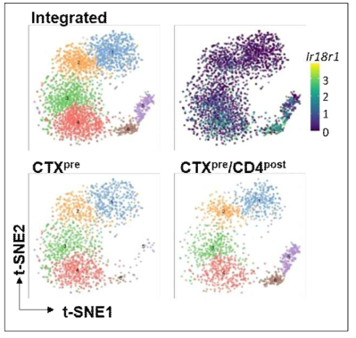 Single-cell transcriptome analysis of T cells in lymphoid tissues