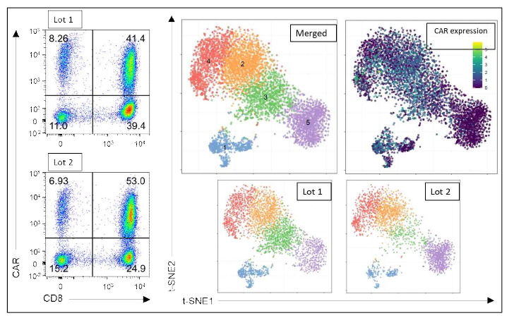 Single-cell transcriptome analysis of CAR-T