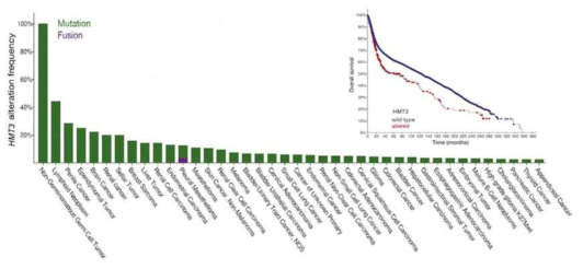 여러 가지 cancer에서의 HMT3의 mutation 빈도 및 survival curve 분석