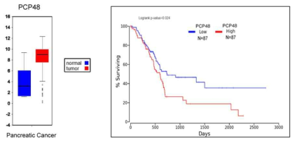 Pancreatic cancer에서 PCP48 발현 및 survival curve 분석