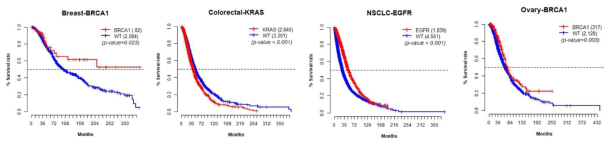 유방암 BRCA1, 대장암 KRAS, 비소세포폐암 EGFR, 난소암 BRCA1 변이 유무에 따른 생존율 차이