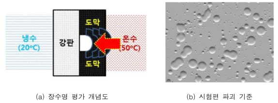 장수명 평가