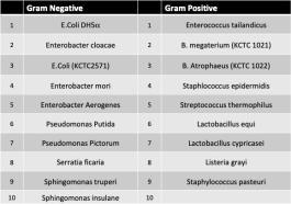 비드 압타마와 음향영동 시스템을 평가하기 위하여 사용된 박테리아 (그람음성 15종, 그람양성 15종)