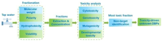 먹는물 중 소독부산물의 규명을 위한 EDA 접근방법(Dong et al., 2020)