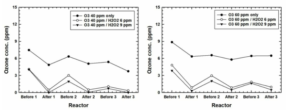 오존/과수 실험 IV: 오존 40 ppm 주입 (왼쪽), 60 ppm 주입 (오른쪽)