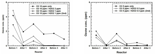 오존/과수 실험 V: 오존 10 ppm 주입 (왼쪽), 5 ppm 주입 (오른쪽)