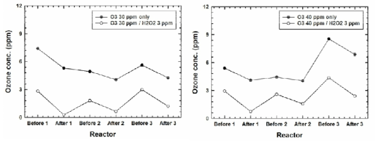 오존/과수 실험 VI: 오존 30 ppm 주입 (왼쪽), 40 ppm 주입 (오른쪽)